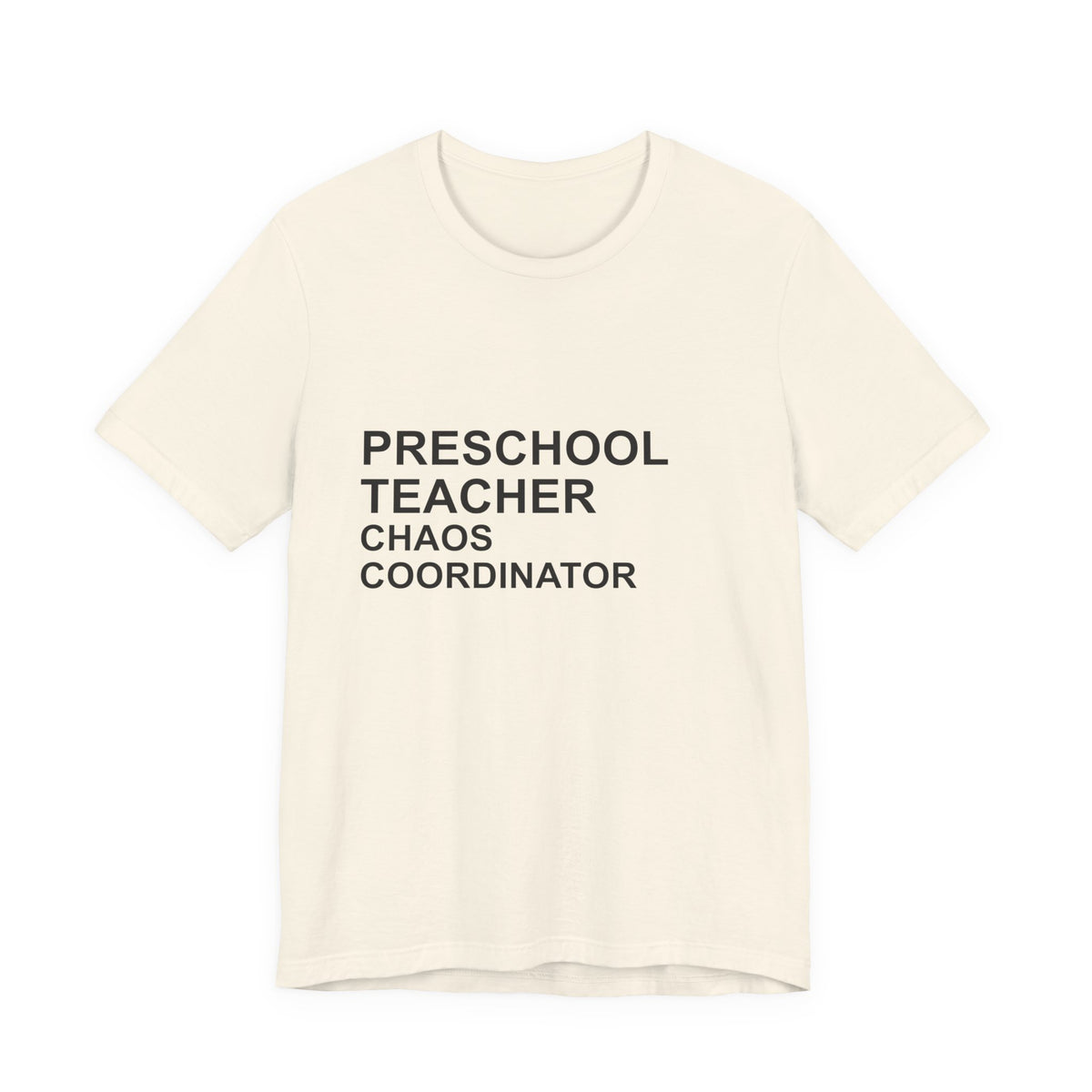 PRESCHOOL TEACHER CHAOS COORDINATOR T-Shirt — Funny Gift